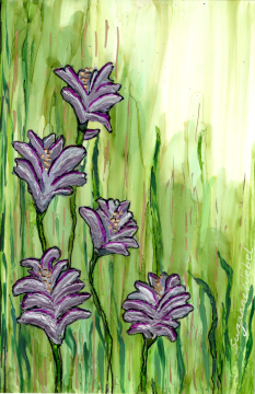 Five Bright Flowers in the Meadow